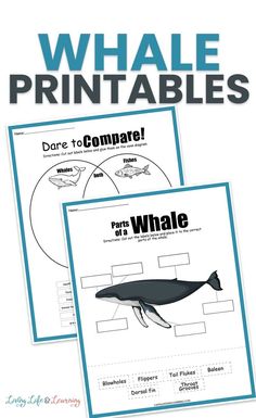 whale printables for kids to learn about whales