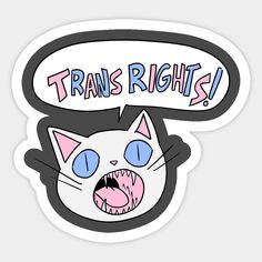 a sticker with an angry cat saying trans rights