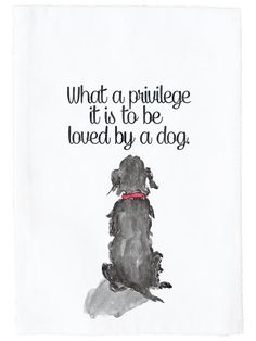 a black dog with a red collar sitting in front of a white background that says, what a princess it is to be loved by a dog