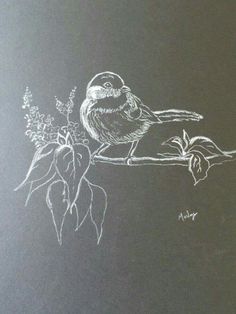 a chalk drawing of a bird sitting on a branch with flowers in the foreground