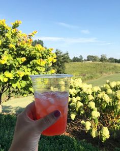 a person holding up a drink in front of some bushes and trees on a sunny day