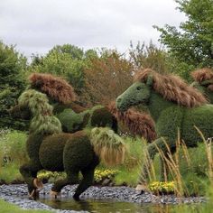 the topiary horses are all made out of plants and bushes, along with water