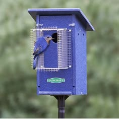 a blue bird is sitting in a purple birdhouse