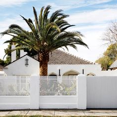 a white fence with a palm tree in front of it