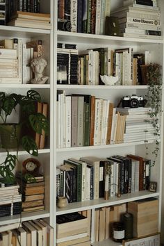 a bookshelf filled with lots of books and plants