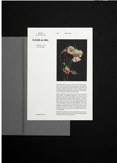 an open book with flowers on it sitting on top of a black table next to a gray and white wall