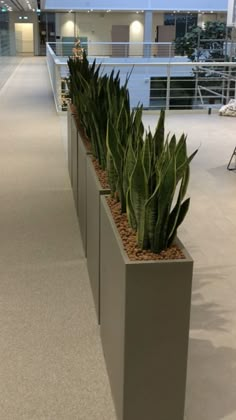 there is a planter in the middle of an empty room with no people around it