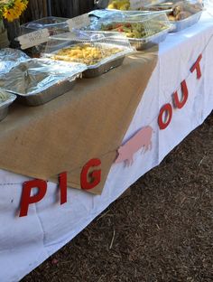 a table topped with lots of food on top of a field