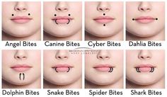 the different types of lips and noses are shown in this photo, with each individual's name on it