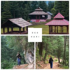 three different pictures with people walking around in the woods and on the other side there is a gazebo