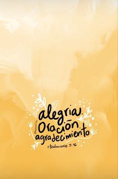 a yellow background with the words algeria oracon agrocementoo on it