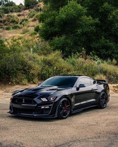 a black sports car is parked on the side of the road in front of some bushes