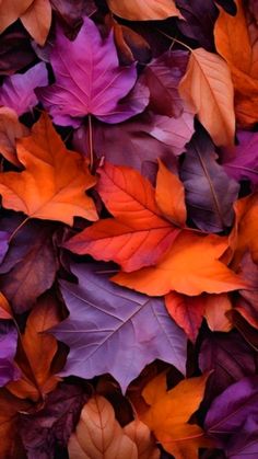 many different colored leaves are laying on top of each other in the same color scheme