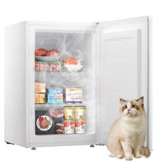 a cat is sitting in front of an open refrigerator with its door open and food inside