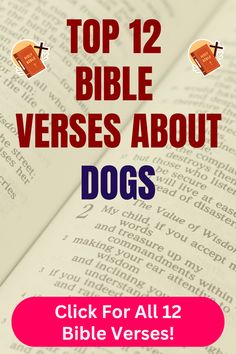 an open book with the title top 12 bible verses about dogs click for all 12 bible