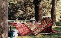 a picnic table set up in the middle of a park with food on it and blankets