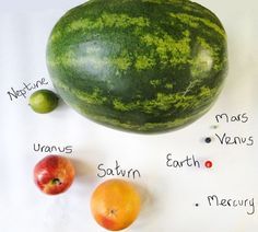 a watermelon, oranges and an apple on a white background with names