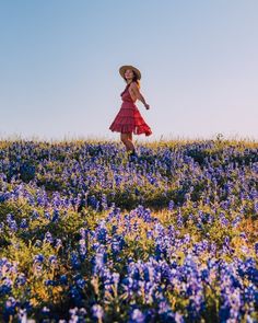 a woman in a red dress and straw hat walking through a field of blue flowers