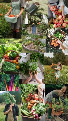 a collage of photos with people picking vegetables