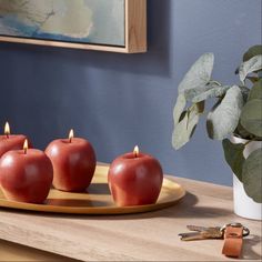 three red apples sitting on top of a wooden tray next to a potted plant