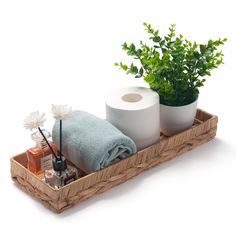 two rolls of toilet paper sitting on a tray next to a potted plant and soap