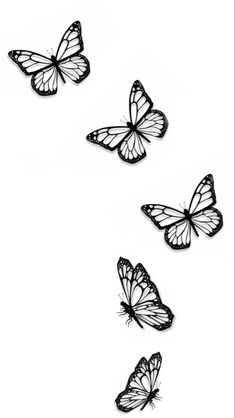 four butterflies flying in the air