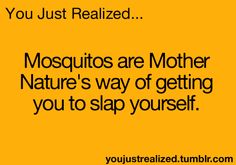 a quote that reads, you just realized mosquitos are mother nature's way of getting you to slap yourself