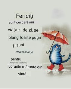 a blue cat holding an umbrella in the rain with words below it that say, fericiti