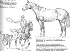 a drawing of a man on a horse next to a dog and another person with a lasso