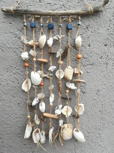 a wall hanging made out of shells and driftwood