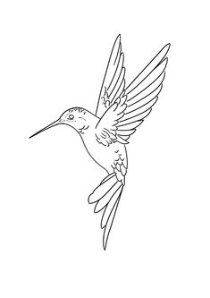 a hummingbird flying in the sky with its wings spread