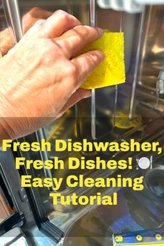 Using sponge to wipe down inside of dishwasher Fresh Dishes, Weekend Projects, Glass Cleaner