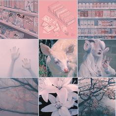 a collage of photos with pink and white flowers