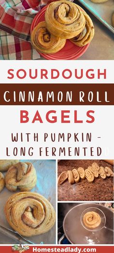 sourdough cinnamon roll bagels in a boiling pot; on a counter; on a baking tray; on an orange plate Sourdough Cinnamon Roll, Pumpkin Powder, Simple Sourdough, Pumpkin Pie Recipes, Pumpkin Flavor, Honey And Cinnamon, White Flour, Sourdough Starter, Cinnamon Roll