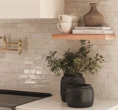 two vases with plants sit on a kitchen counter next to a stove and books