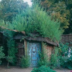 an old door is surrounded by greenery and plants