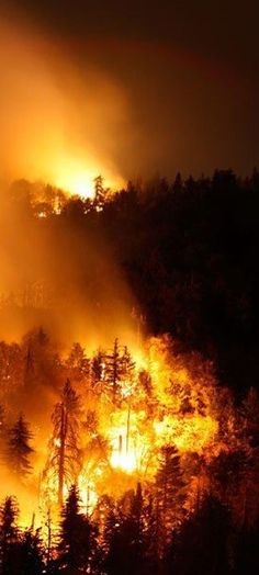 Wildland Firefighter, Living In Colorado, Fire Photography, Fire And Ice