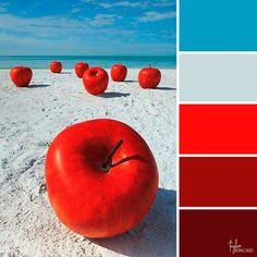 an apple sitting on top of a sandy beach next to the ocean in color swatches