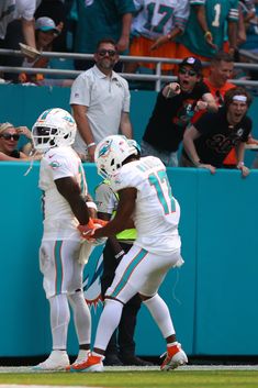 two miami dolphins players congratulate each other on the sidelines during a football game