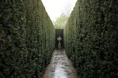 a stone walkway between two hedges with a statue in the center