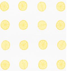 several slices of lemon on a white background