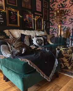 a cat laying on top of a green couch next to a wall covered in pictures