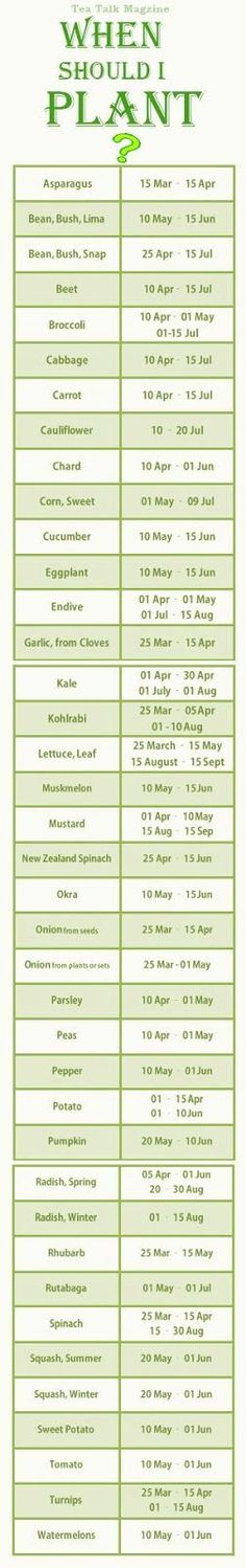 Vegetable Gardening 101 Plant Vegetables, When To Plant, نباتات منزلية, Growing Strawberries, Gardening 101, Veggie Garden, Growing Food, Edible Garden, Lawn And Garden