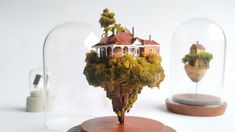 a miniature house in a glass dome on top of a wooden base with trees growing out of it