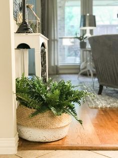 a living room with a clock on the wall next to a plant in a basket