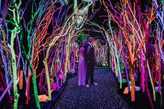 two people are standing in the middle of an illuminated walkway with trees and bushes on both sides