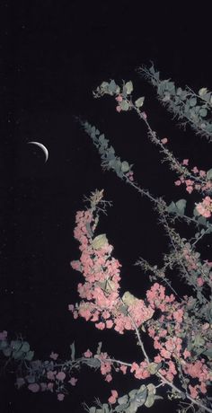 the moon is visible in the night sky above some pink flowers and leaves on a tree branch