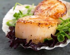 two scallops on a plate with lettuce and sauce