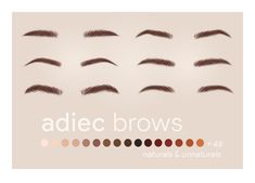 the different types of eyebrows are shown