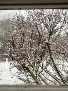 a tree with red berries is seen through a window pane in the winter time